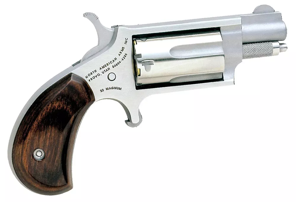 NAA 22 WMR Mini-Revolver 1.125" Stainless 22MS