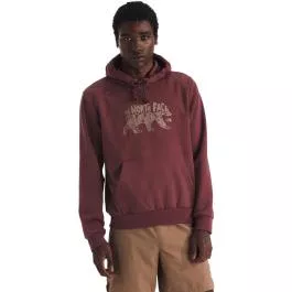 The North Face Men’s Evolution TNF Bear Hoodie Graphic