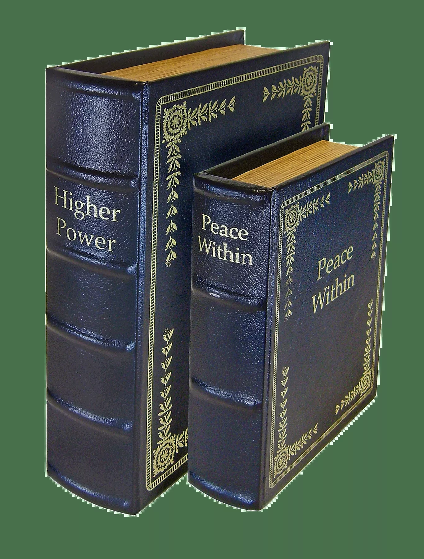 Ps Diversion Books - Set Of 2