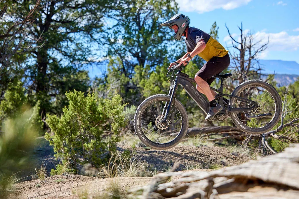 QuietKat Ibex E-Bike | Range Up-To 63 Miles | Load Capacity 300+ Lbs