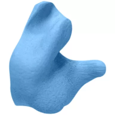 Radians CEP002-B Custom Molded Earplugs for Shooting Sports, Blue, 1 Pack