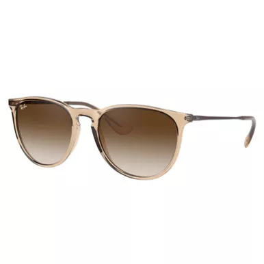 Ray-Ban Erika Brown Frame Brown Lens Polarized Standard