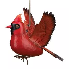 Regal Art & Gift Bouncie - Cardinal