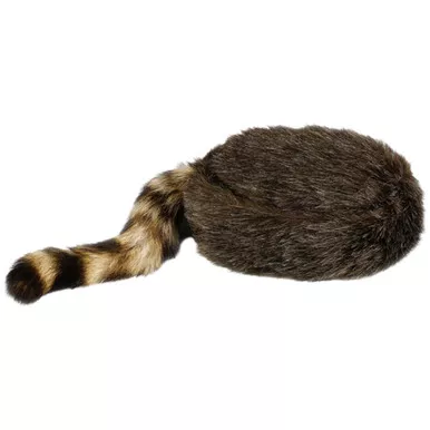 Ridgeway Dan'L Boone Coontail Cap Large