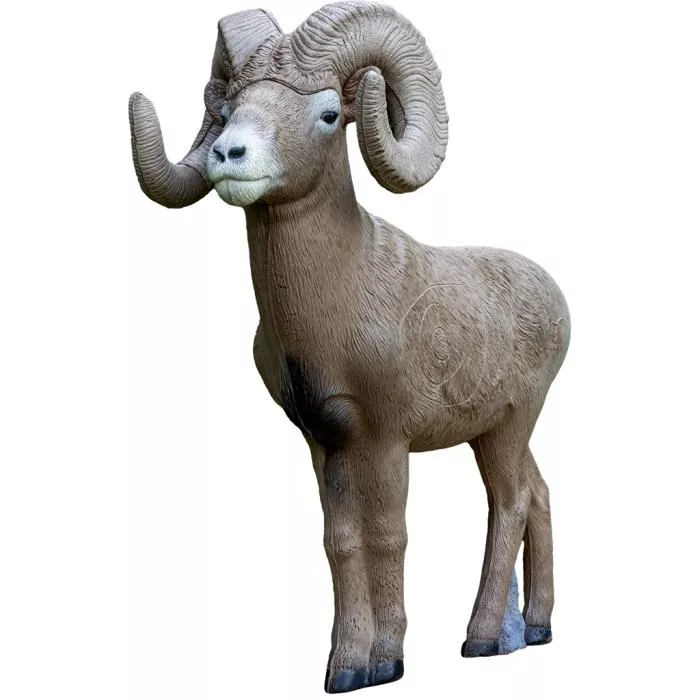 Rinehart Target 1/2 Scale Bighorn Sheep #37311