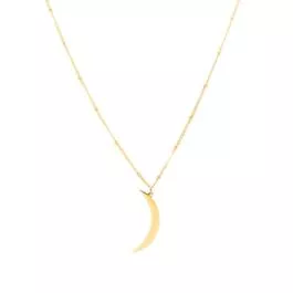 Salty Cali Crescent Moon Necklace - Dainty