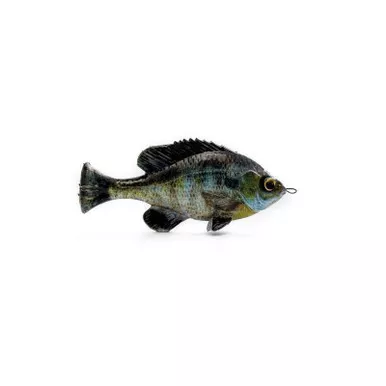 SAVAGE GEAR 4″ PULSE TAIL BLUEGILL - LOOSEBODY Light Brown Ghost Gill 4"