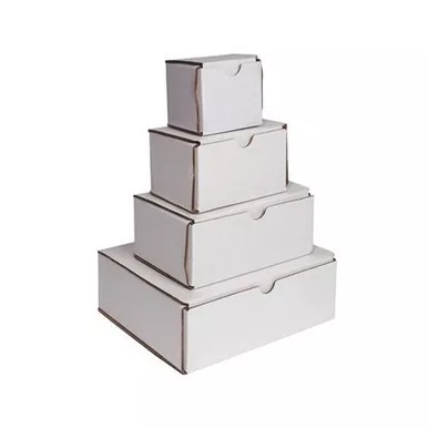 Sirchie Corrugated White Folding Evidence Boxes (10 Pack)