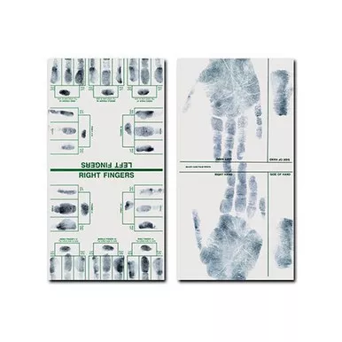 Sirchie FC332 Major Case & Tip Print Cards, 8" x 16", 50 Pack