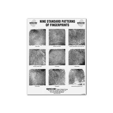 Sirchie FC348 Fingerprint Pattern Wall Chart, 17" x 22"
