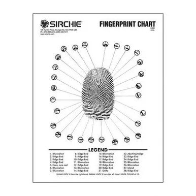 Sirchie FC349 Fingerprint Ridge Structure Wall Chart, 17" x 12"