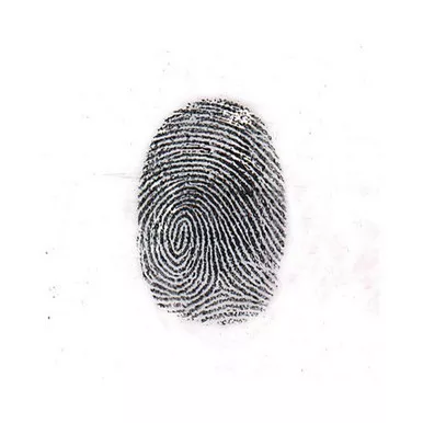Sirchie Regular Black Magnetic Fingerprint Powder