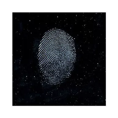 Sirchie Regular Indestructible White Magnetic Fingerprint Powder