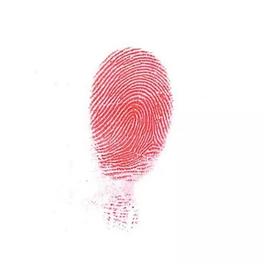 Sirchie Regular Red Magnetic Fingerprint Powder