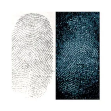 Sirchie Silver/Gray “Hi-Fi” Volcano Latent Fingerprint Powder
