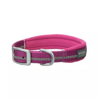 Terrain D.O.G. Reflective Neoprene Lined Collar Purple 1" X 25"