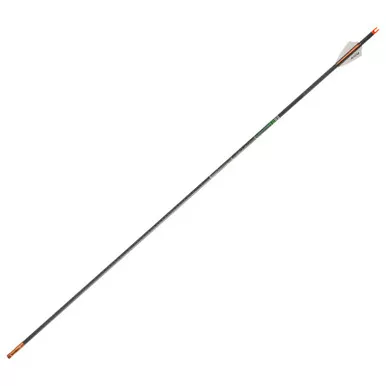 Victory Archery RIP SS Gamer Arrows 350 - 9.9 GPI