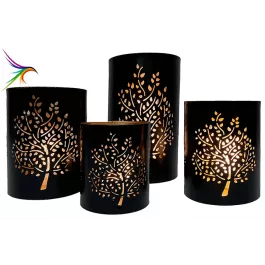 Will’s Company Blk/Gold Tree Cylinder