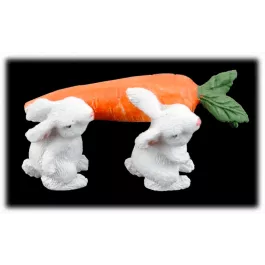 Will’s Company Bunny w/Carrot